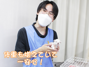 ２年生、子犬のお世話☆